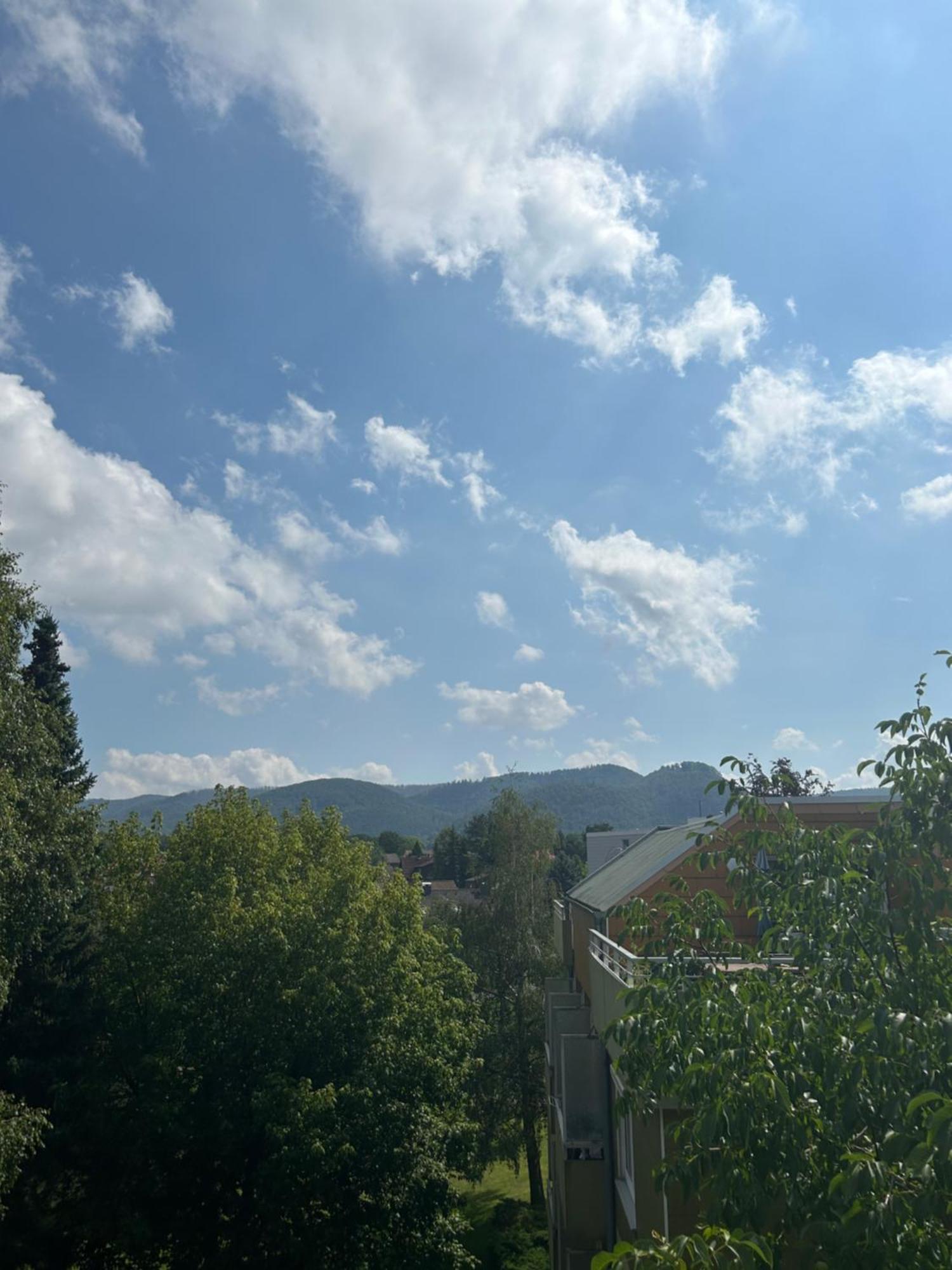 Apartmán Penthouse ,,Kleine Auszeit" Bad Harzburg Exteriér fotografie